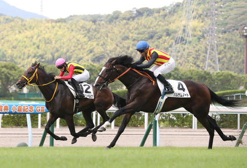 小倉5Rを制したバルサムノートとホー騎手（8月14日、撮影・屋方直哉）