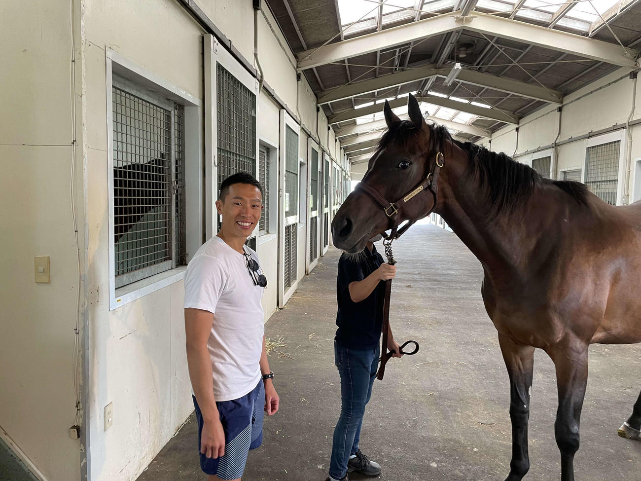 ノーザンファームさんでラヴズオンリーユーと再会できました