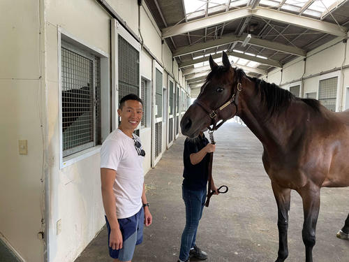 ノーザンファームさんでラヴズオンリーユーと再会できました