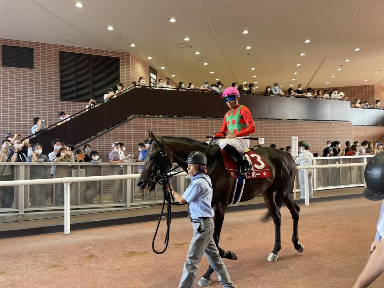 コスモセイリュウに騎乗して馬場に向かうホー騎手