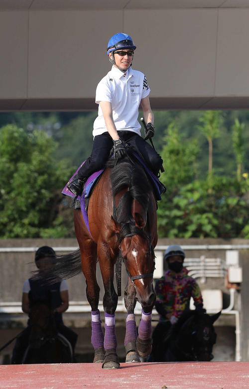 凱旋門賞日本勢初制覇の期待がかかるドウデュース