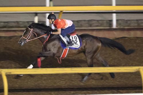 国内最終追い切りでスムーズな動きを見せたステイフーリッシュ（22年8月10日撮影）