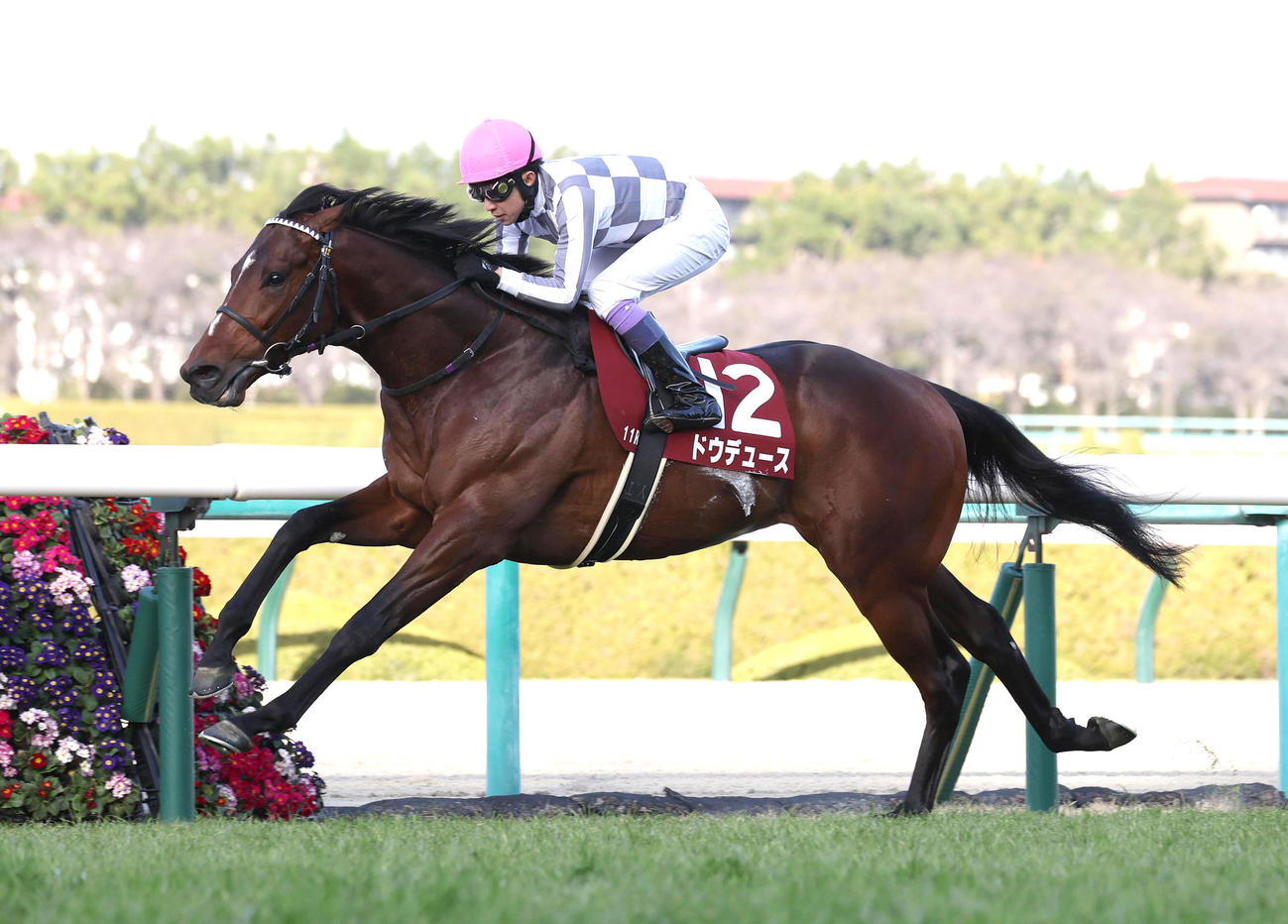 直線力強く伸びて京都記念を快勝したドウデュース（23年2月12日撮影）