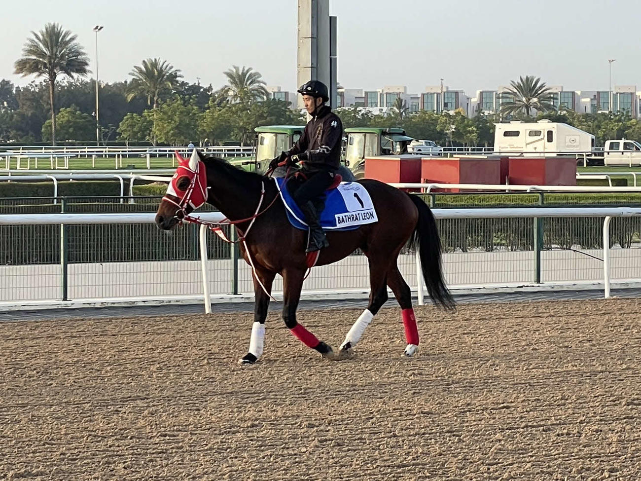 サウジの1351ターフスプリントから連勝を狙うバスラットレオン