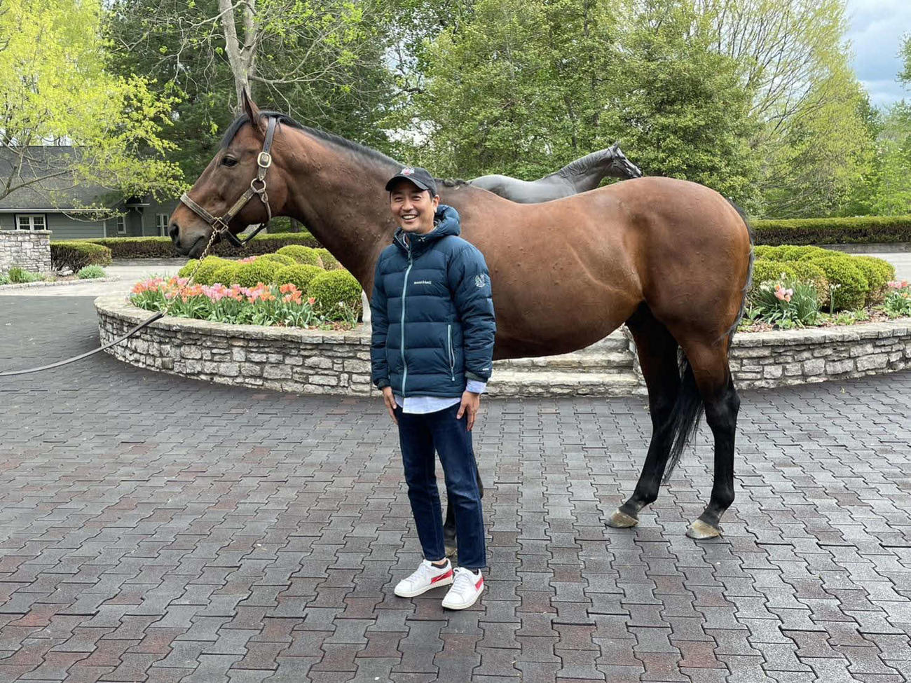 15年の米3冠馬アメリカンファラオ