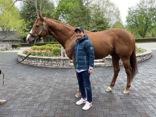18年の米3冠馬ジャスティファイ