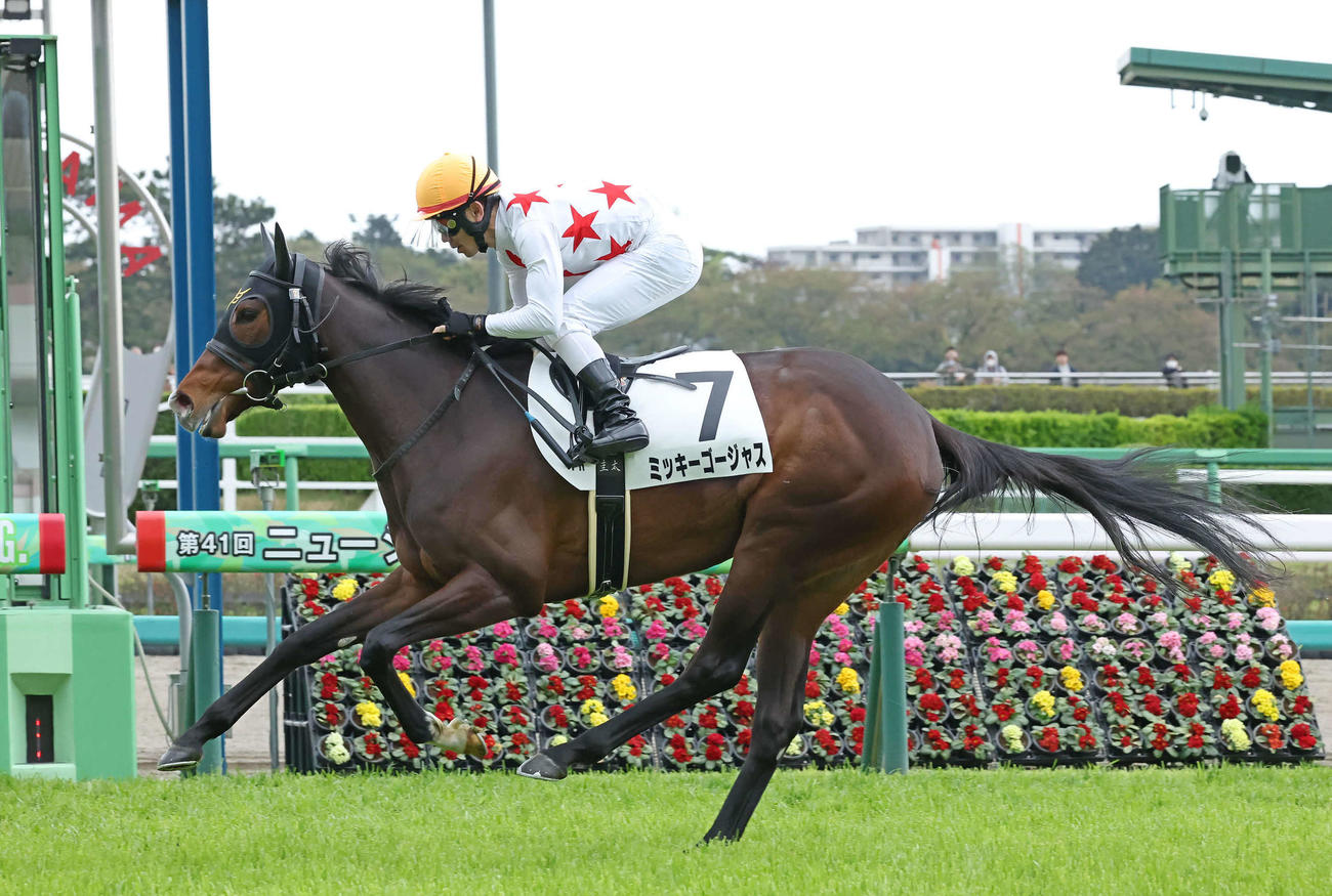 オークスで注目しているミッキーゴージャス（撮影・丹羽敏通）
