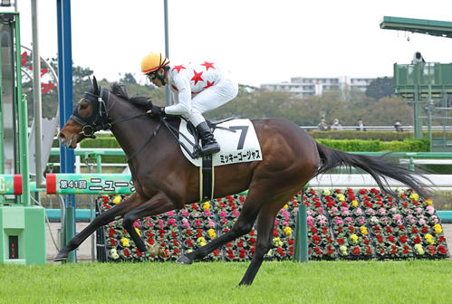 オークスで注目しているミッキーゴージャス(撮影・丹羽敏通)