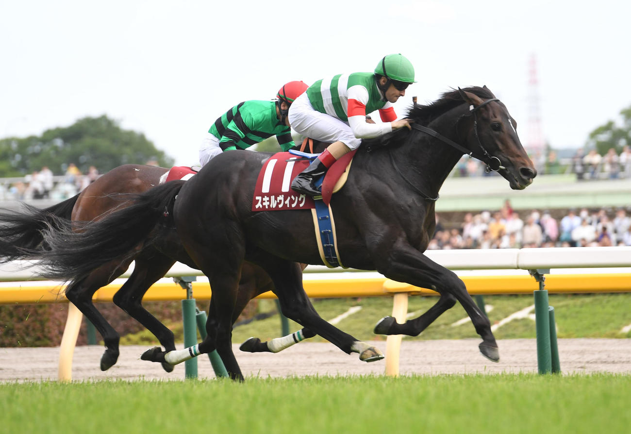 青葉賞を制したスキルヴィング（手前）（23年4月29日撮影）