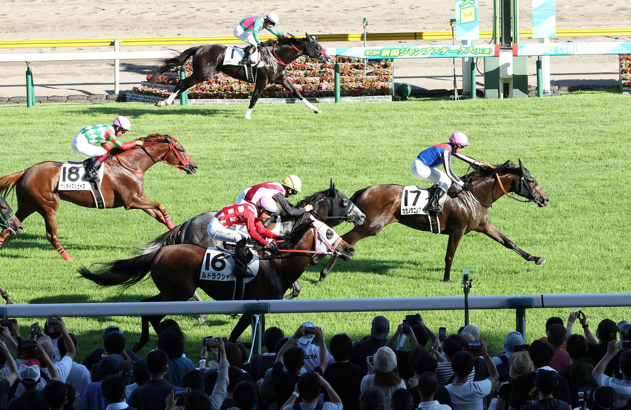 22年7月、新潟で千直を制したカゼノタニノアヤカとホー騎手（右）（22年7月30日撮影）