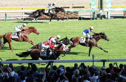 22年7月、新潟で千直を制したカゼノタニノアヤカとホー騎手（右）（22年7月30日撮影）