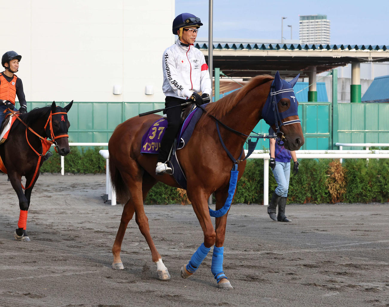 牡馬撃破なら秋が楽しみになるウインマリリン
