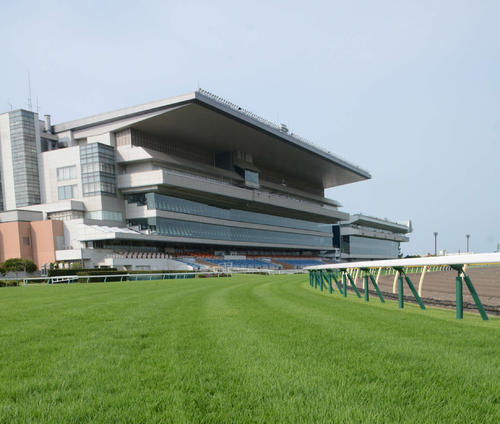 新潟競馬場（19年7月撮影）