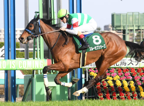 中山牝馬Sを制したスルーセブンシーズ（23年3月11日撮影）