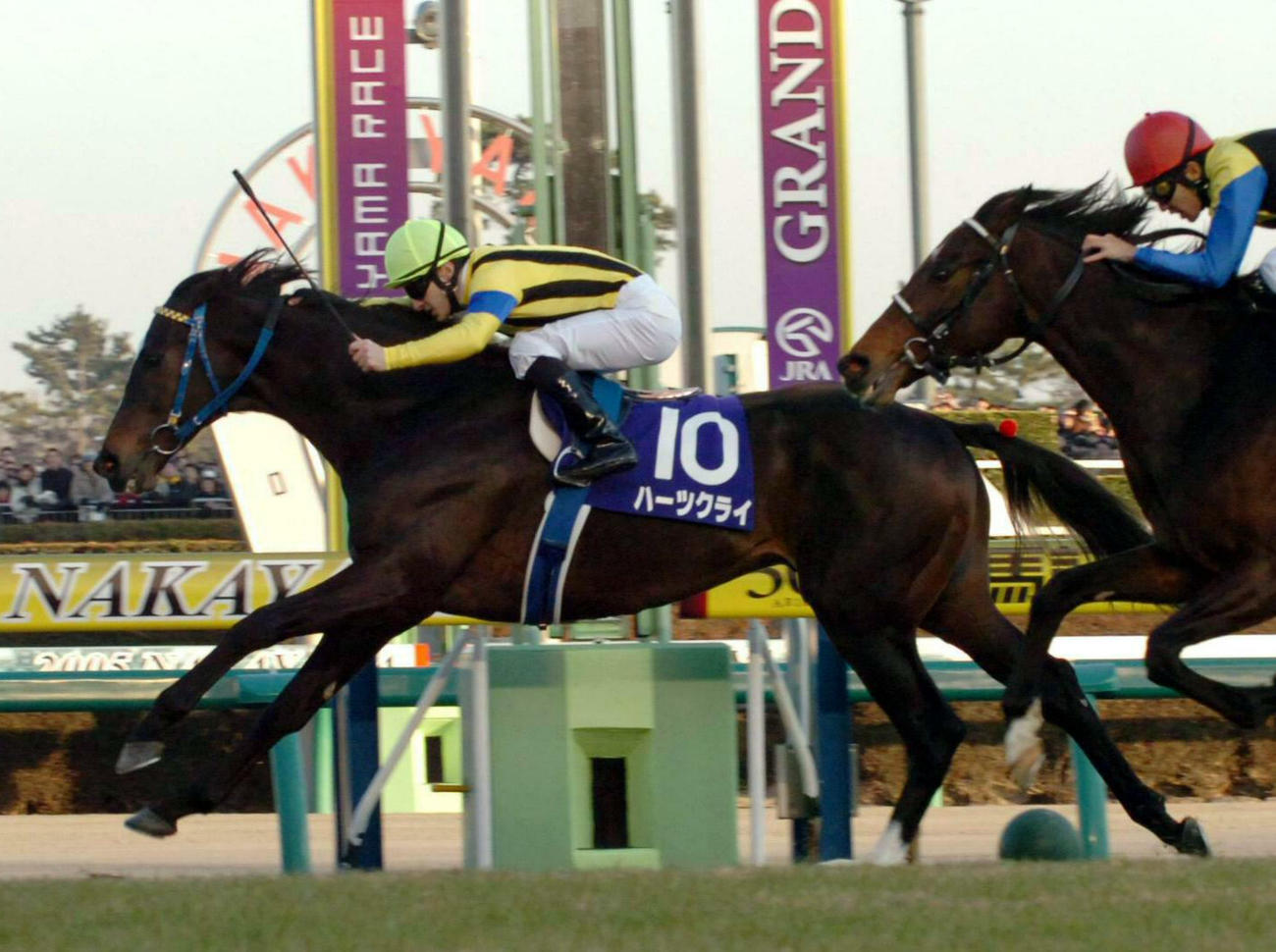 05年の有馬記念を制したハーツクライ