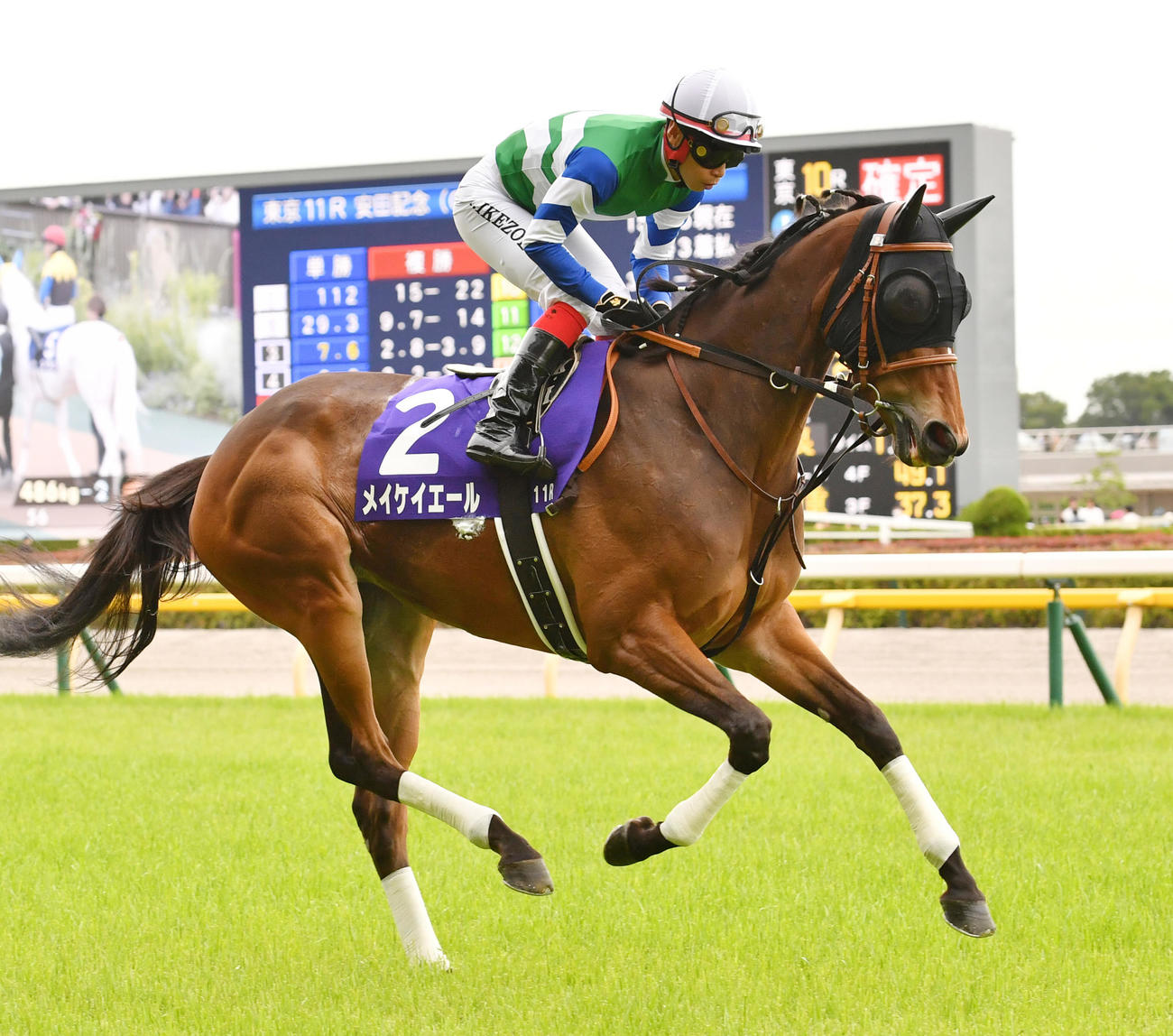 6月、安田記念で本馬場に入場するメイケイエールと池添騎手