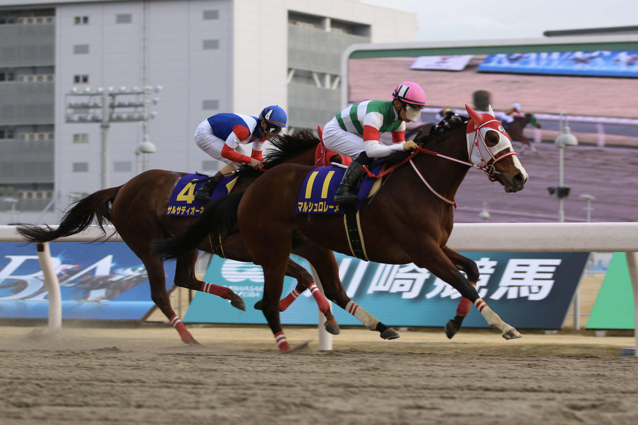 21年、川崎でのエンプレス杯を制したマルシュロレーヌ（21年3月4日撮影）