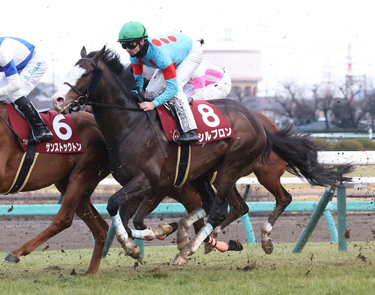21日にAJCCに出走したシルブロンとピーヒュレク騎手（撮影・丹羽敏通）