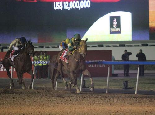 ドバイワールドCでアルジールス（左）を差し切ったウシュバテソーロ（撮影・木南友輔）