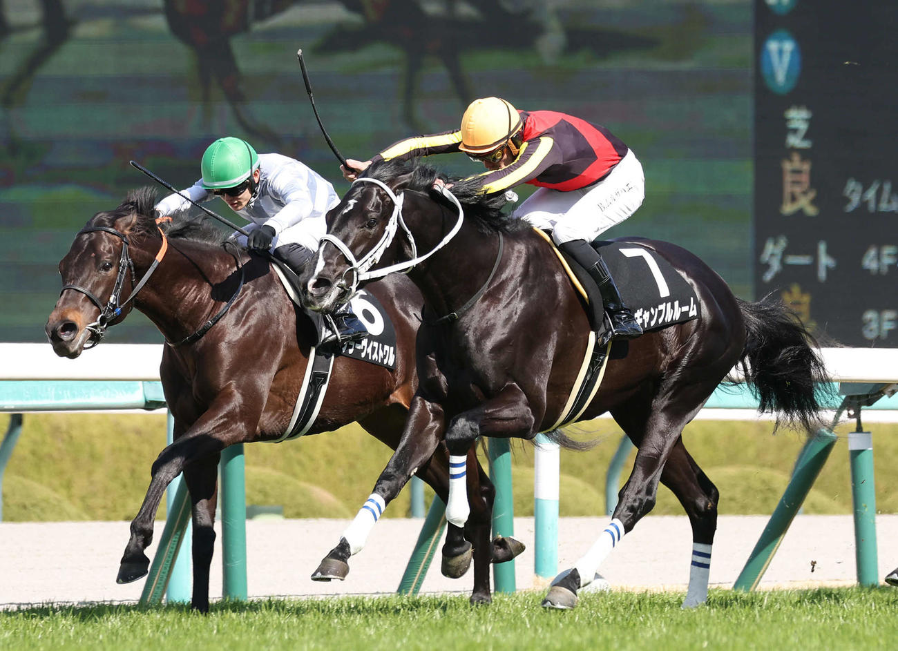 アルメリア賞を勝利したギャンブルルームとムルザバエフ騎手（右）（撮影・白石智彦）