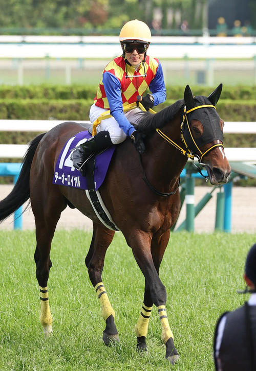 天皇賞・春を制したテーオーロイヤルと菱田騎手（撮影・白石智彦）