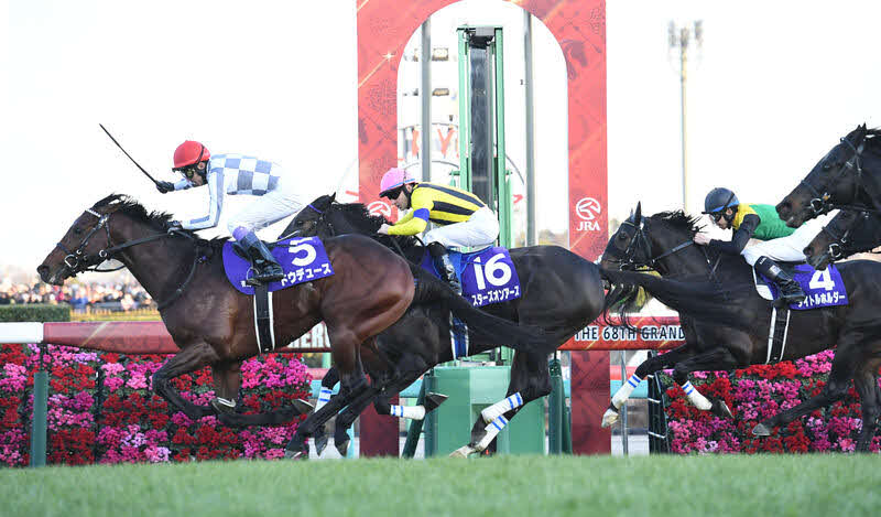 有馬記念を制したドウデュースが、初の京都競馬場でどんなパフォーマンスを見せるか楽しみです