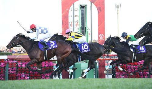 有馬記念を制したドウデュースが、初の京都競馬場でどんなパフォーマンスを見せるか楽しみです