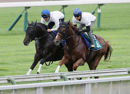 武豊騎手を背に函館芝コースで1週前追い切りを行ったシャフリヤール（左）