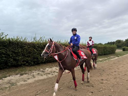 シンエンペラーの追い切りに乗ったC・デムーロ騎手は「素晴らしい馬」と太鼓判