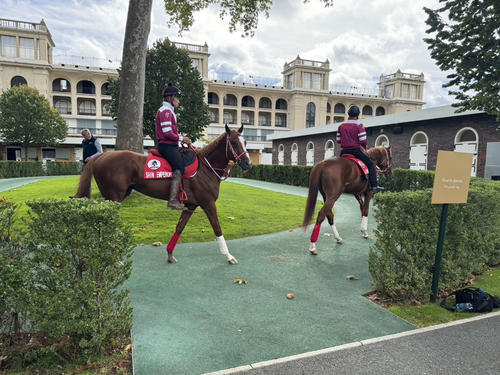 パリロンシャン競馬場のパドックをスクーリング