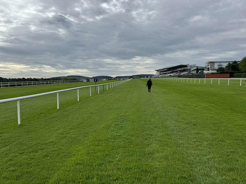 レース前日、レパーズタウン競馬場のコースを歩いて確認しました