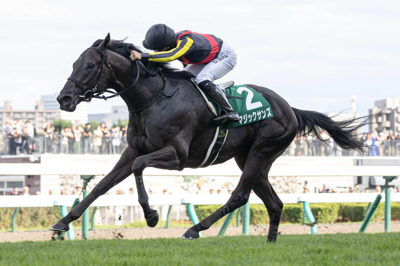 札幌2歳Sを制したマジックサンズ（2024年8月31日撮影）