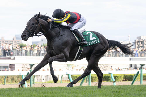 札幌2歳Sを制したマジックサンズ（2024年8月31日撮影）