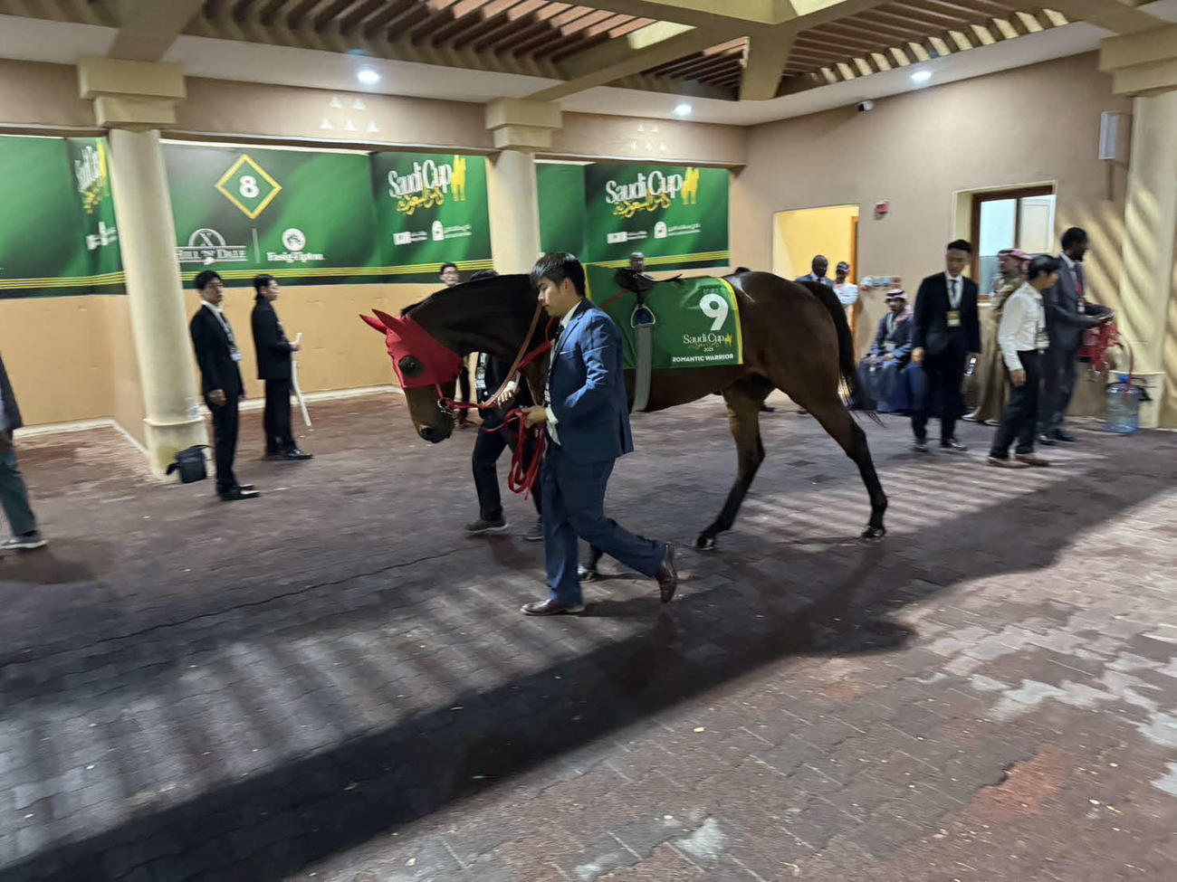 サウジC、レース前のロマンチックウォリアー（撮影・安藤裕）