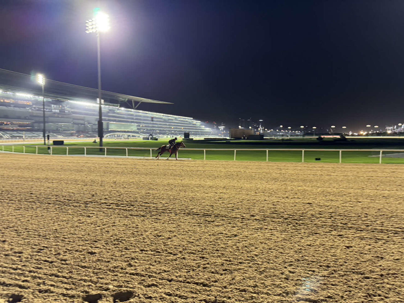 ドバイ・メイダン競馬場