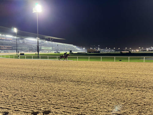 ドバイ・メイダン競馬場