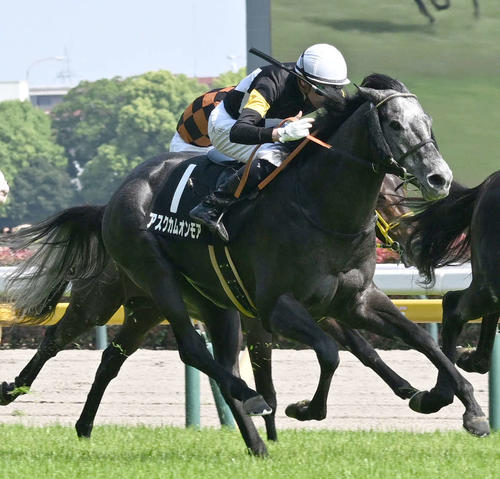 東京9R、府中Sを制したディー騎手（撮影・千葉一成）