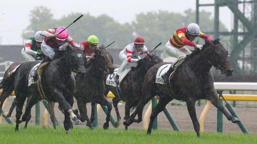 17日東京5Rで3歳未勝利戦を制したベラジオワールドとディー騎手（右）（撮影・丹羽敏通）
