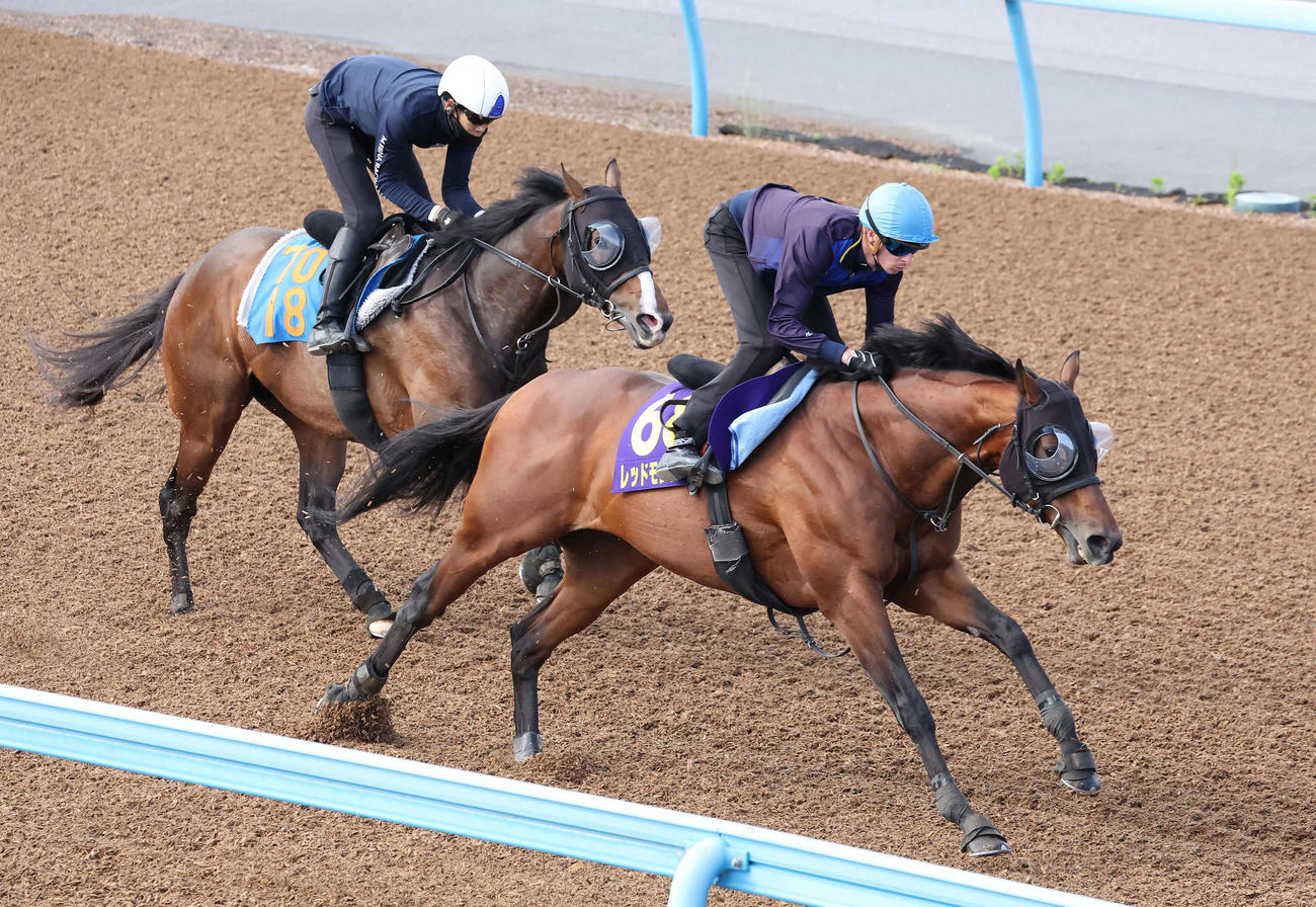 5月28日、レッドモンレーヴはディー騎手を背に美浦ウッドで追い切られた