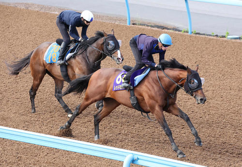 5月28日、レッドモンレーヴはディー騎手を背に美浦ウッドで追い切られた
