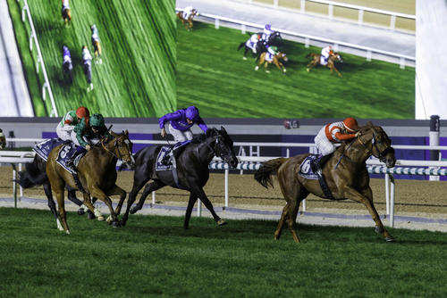 ドバイシーマCを制したダノンデサイル（右）と2着に入ったカランダガン（緑色の勝負服）（C）Dubai Racing Club