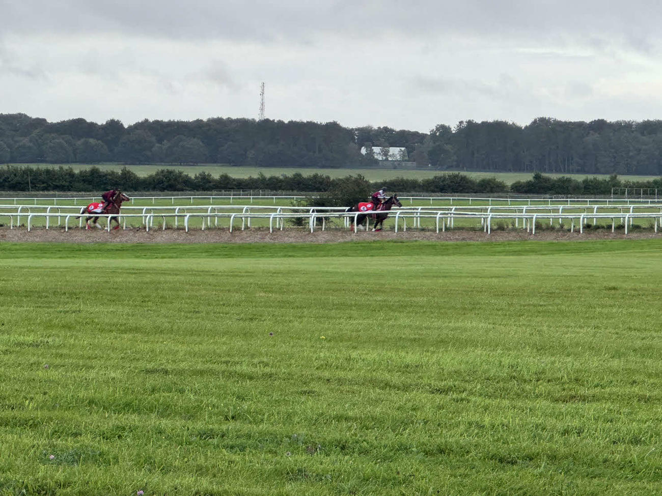 カラ競馬場付近のオールドヴィックというコースで調整する2頭