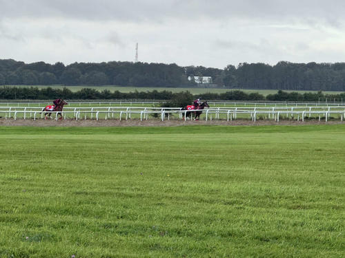 カラ競馬場付近のオールドヴィックというコースで調整する2頭
