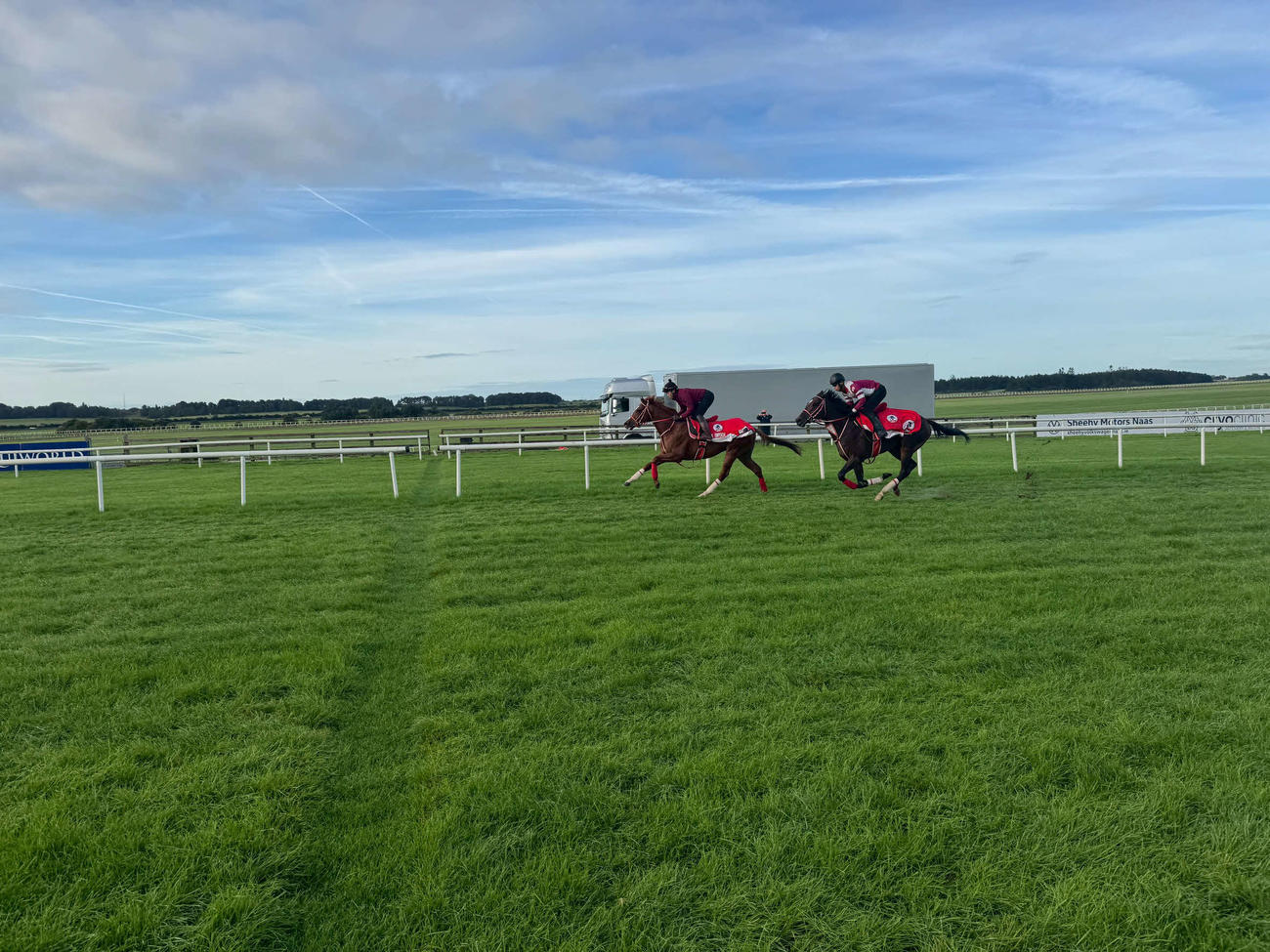カラ競馬場の芝コースで追い切りを行うシンエンペラーとジャックオダモ（撮影・安藤裕）