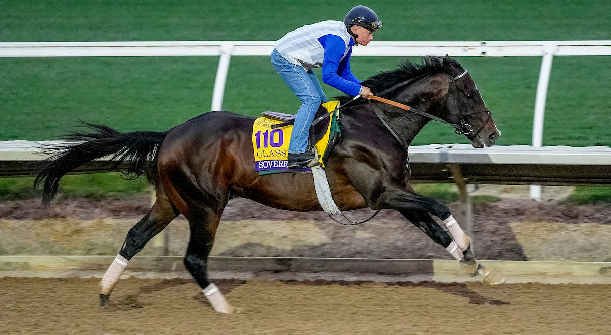 27日に追い切られたソヴリンティ（C）Tere Poplin／Eclipse Sportswire／Breeders Cup