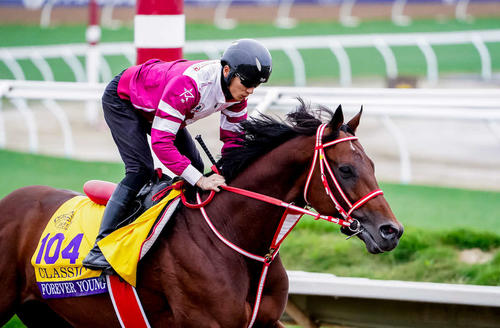 27日の坂井騎手とフォーエバーヤング（C）Shamela Hanley／Eclipse Sportswire／Breeders Cup