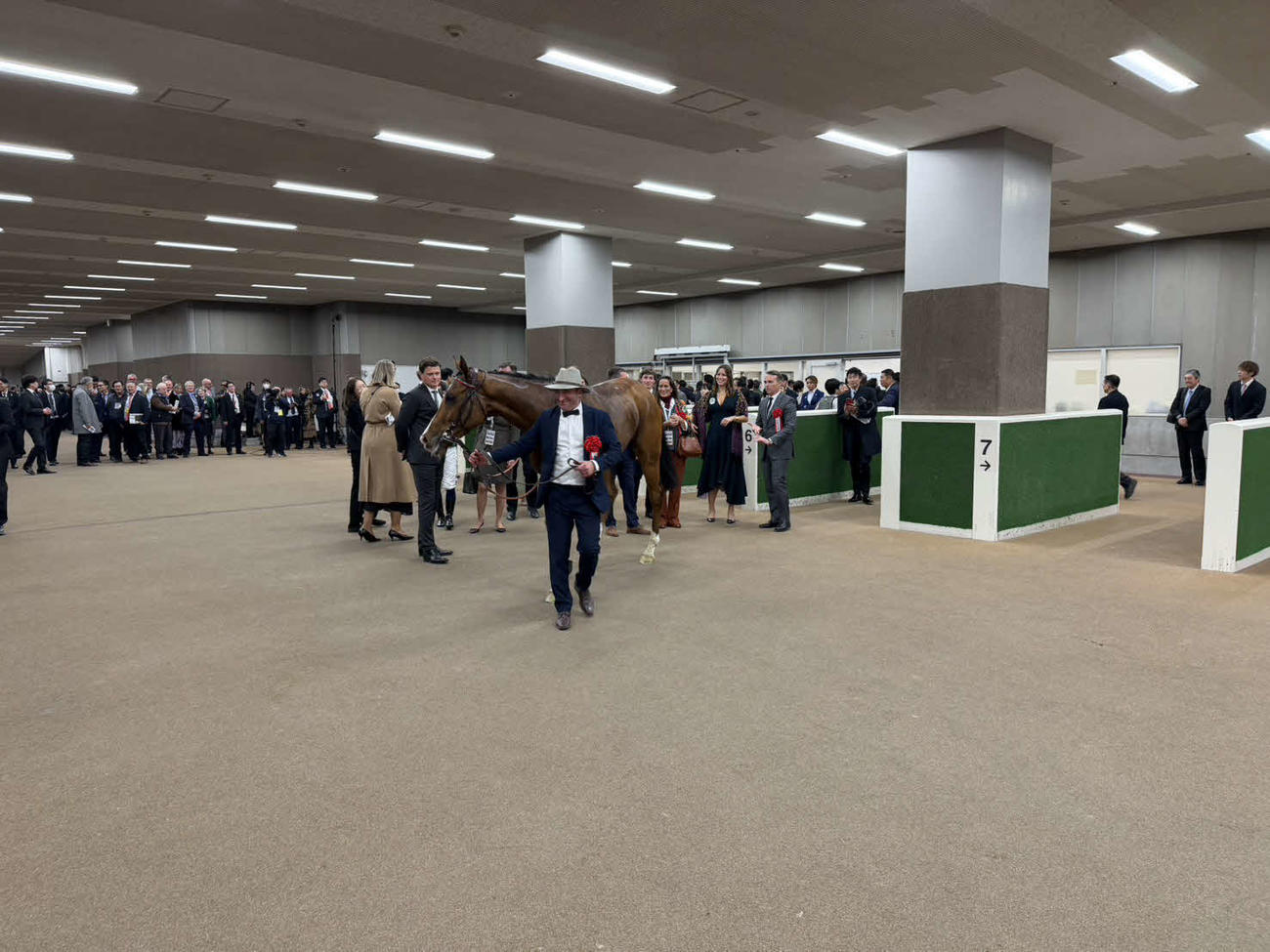 ジャパンCを勝ち表彰式を待つカランダガン
