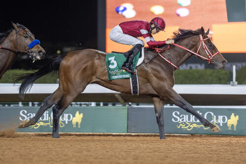 サウジC史上初の連覇を飾ったフォーエバーヤング（C）Jockey Club of Saudi Arabia／Mathea Kelley