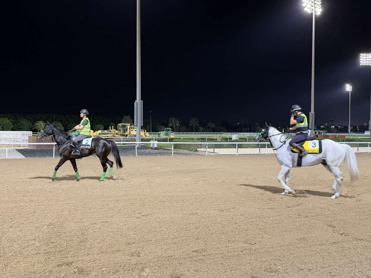 メイダン競馬場で調整するルガルとガイアフォース（撮影・安藤裕）