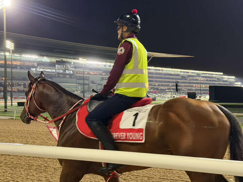 メイダン競馬場で調整するフォーエバーヤング（撮影・安藤裕）